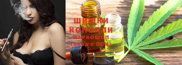 тгк Абаза