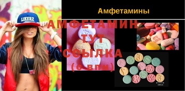 тгк Абаза